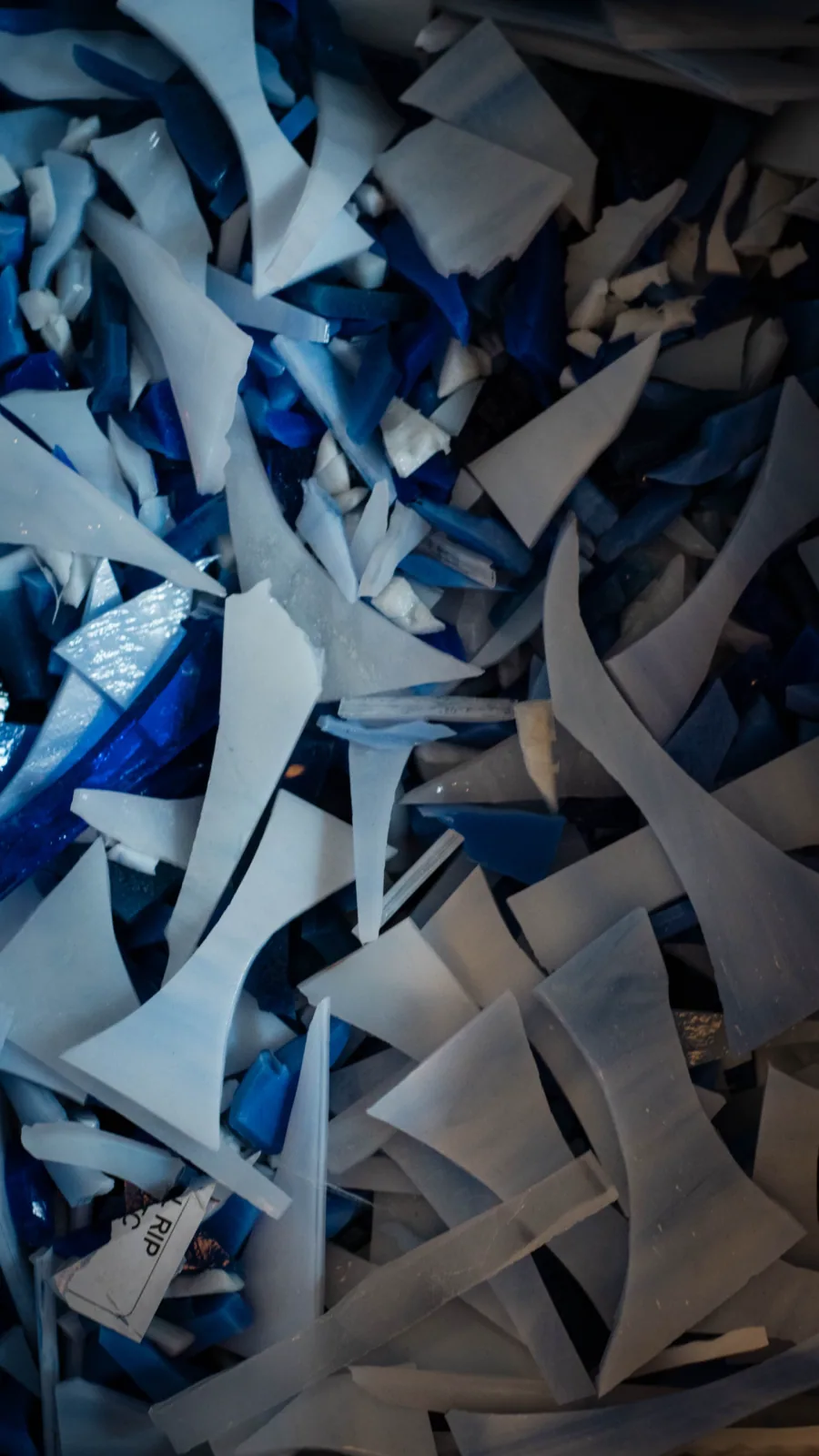Éclats de verre bleu et blanc, matière première des mosaïques de Juliette Nass